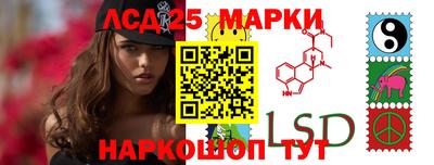ALPHA PVP Камышлов