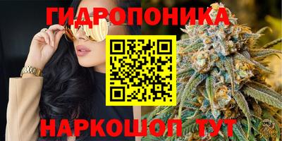 СК Канаш
