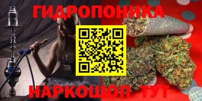 ECSTASY Кандалакша