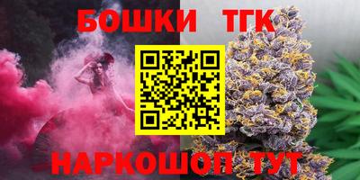 СК Канаш