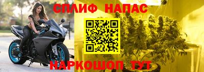 ECSTASY Кандалакша