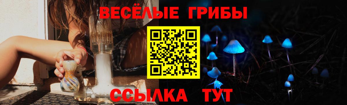 Псилоцибиновые грибы GOLDEN TEACHER Татарск